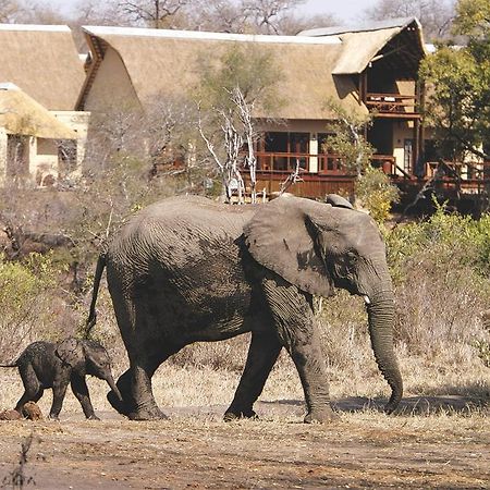 Elephant Plains Game Lodge Sabi Sand Game Reserve Exterior foto