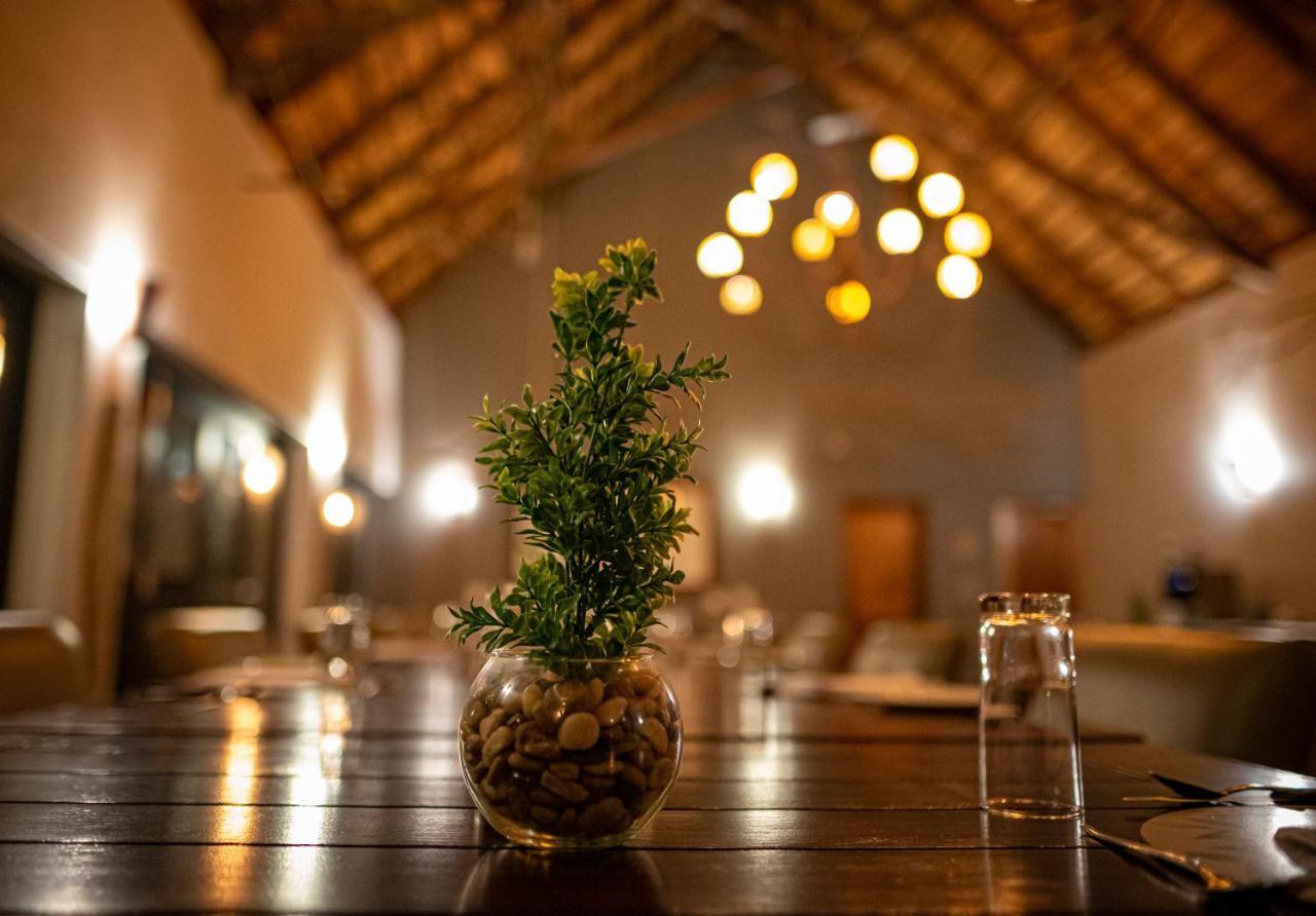 Elephant Plains Game Lodge Sabi Sand Game Reserve Exterior foto